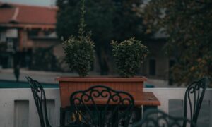 Elegant outdoor patio scene featuring ornate chairs and potted plants. - Photo by Enes Karahasan on Pexels