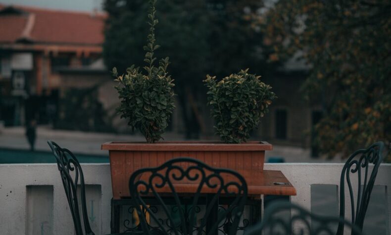 Elegant outdoor patio scene featuring ornate chairs and potted plants. - Photo by Enes Karahasan on Pexels