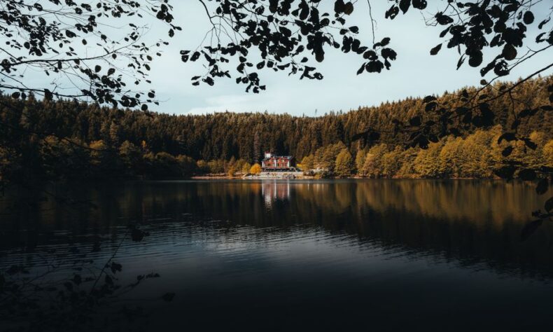 Peaceful autumn scene of Karagöl lake reflecting a forest and house, perfect for nature lovers. - Photo by İsa Kılavuzoğlu on Pexels